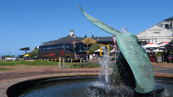Bus Hire Cape Town - Tourliner